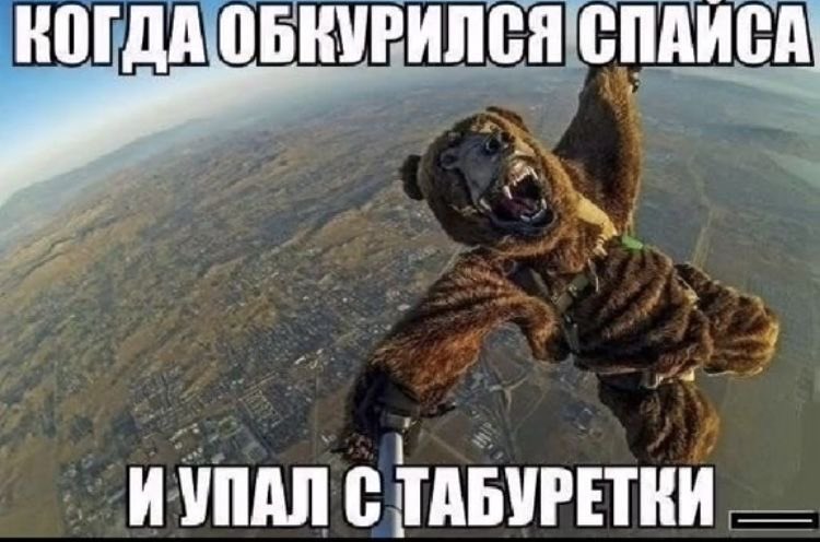 Mstiffуy tweet media