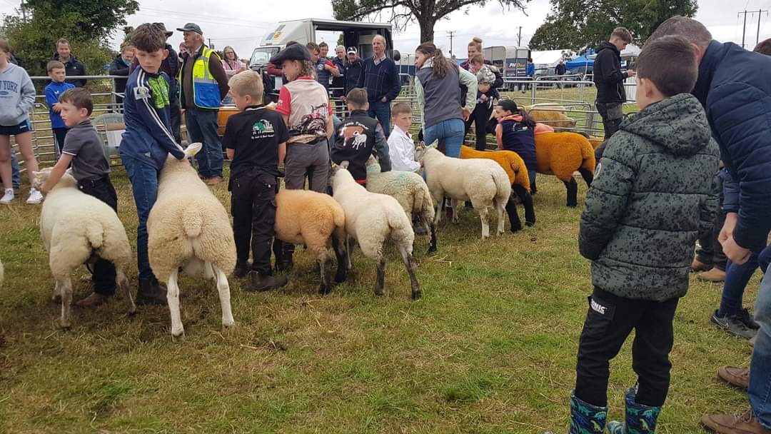 Roscommon Civil Defence tweet media