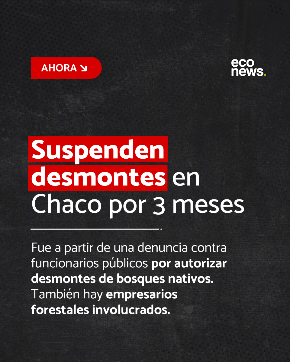 AHORA 🚨 Suspenden desmontes en Chaco por tres meses 

Fue por una denuncia de <a href="/AbogadesAmbient/">Asoc. Argentina de Abogadxs Ambientalistas / CAJE</a> contra funcionarios públicos, diputados y empresarios forestales. 

Según la investigación, durante años autorizaron desmontes en zonas que debían estar protegidas.