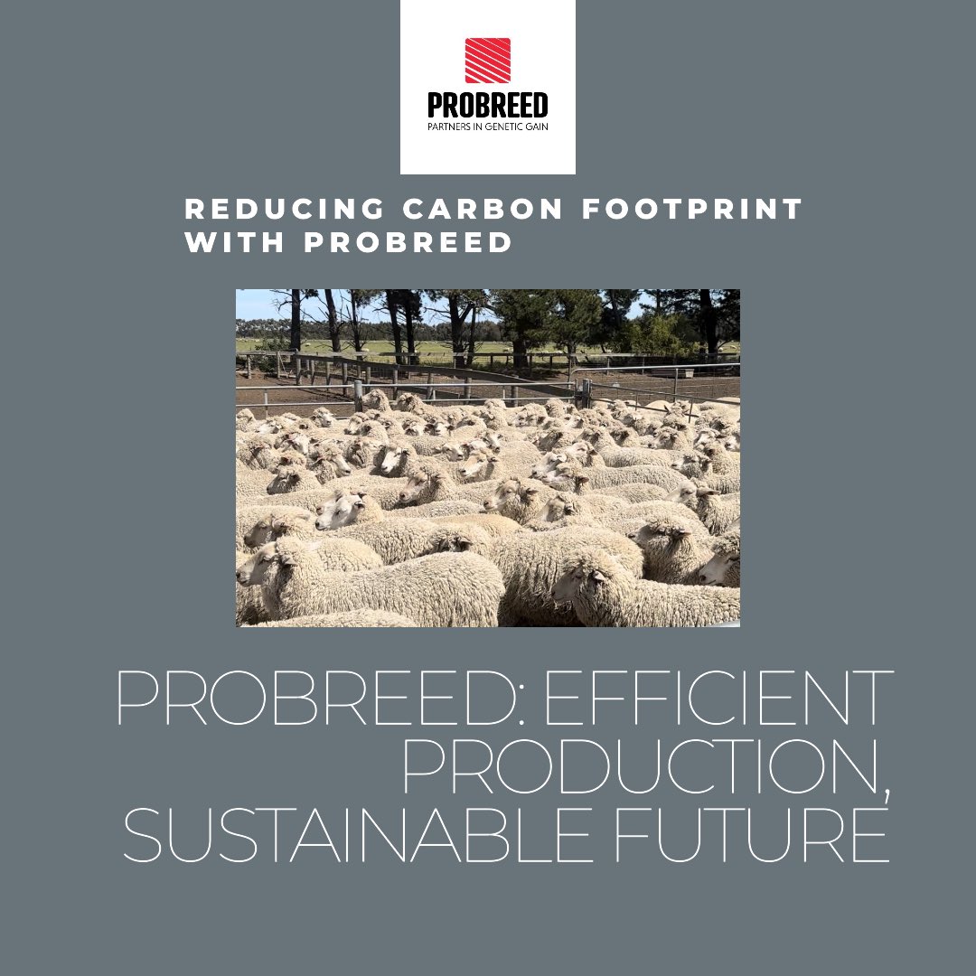 Carbon Efficiency 
Big Shifts in industry thinking 🤔 are approaching! Reproduction efficiency will increasingly be a key part of all livestock systems 💲#CarbonEfficiency #MaternalEfficiency #ProductionEfficiency #ProBreed