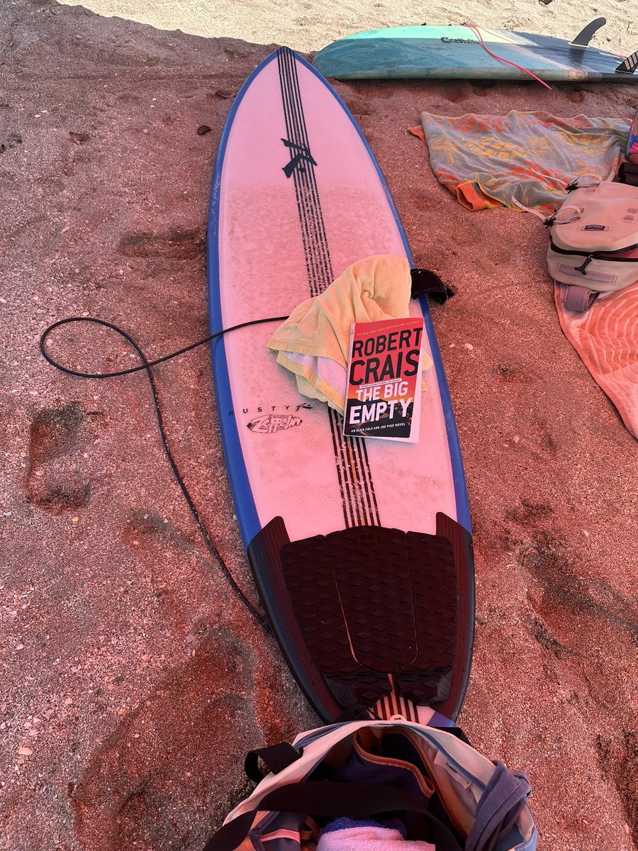 ajtata's tweet image. @robertcrais #TheBigEmpty is the perfect post surf read. Loving this.