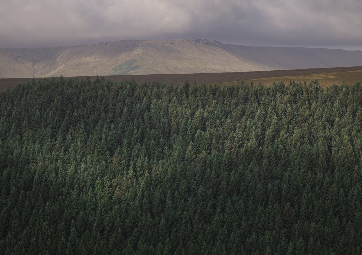 david_gange's tweet image. These photos are of a beautifully quiet place, worth walking slowly. While relying on trains for hikes, Edale to Glossop has become a favourite. The start &amp;amp; end (Kinder-Alport Castles &amp;amp; Shelf Stones) are busy. But the best bit (Alport-Bleaklow) never is. In purple on the map.