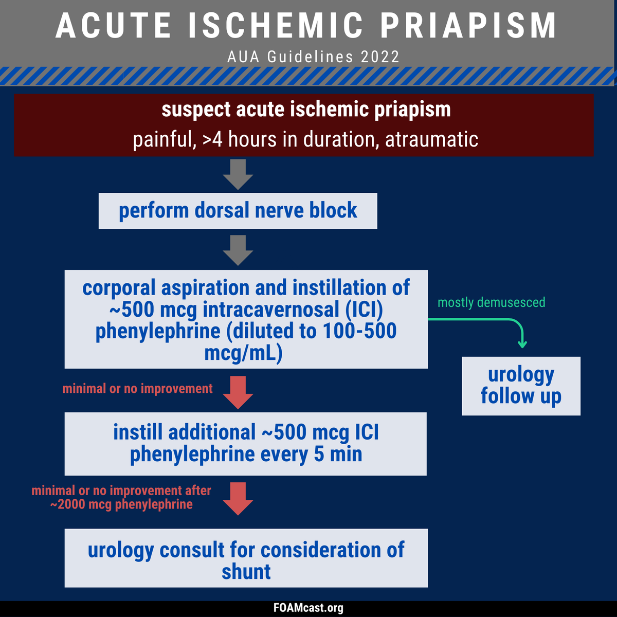 FOAMpodcast's tweet photo. A review of acute ischemic priapism and some treatment tips from recent guidelines (use phenylephrine up front!) 
Post: https://t.co/Sgeqrn8Evp
Listen: https://t.co/u5K4CjN6dG (or spotify, etc) https://t.co/835GsMkzMp