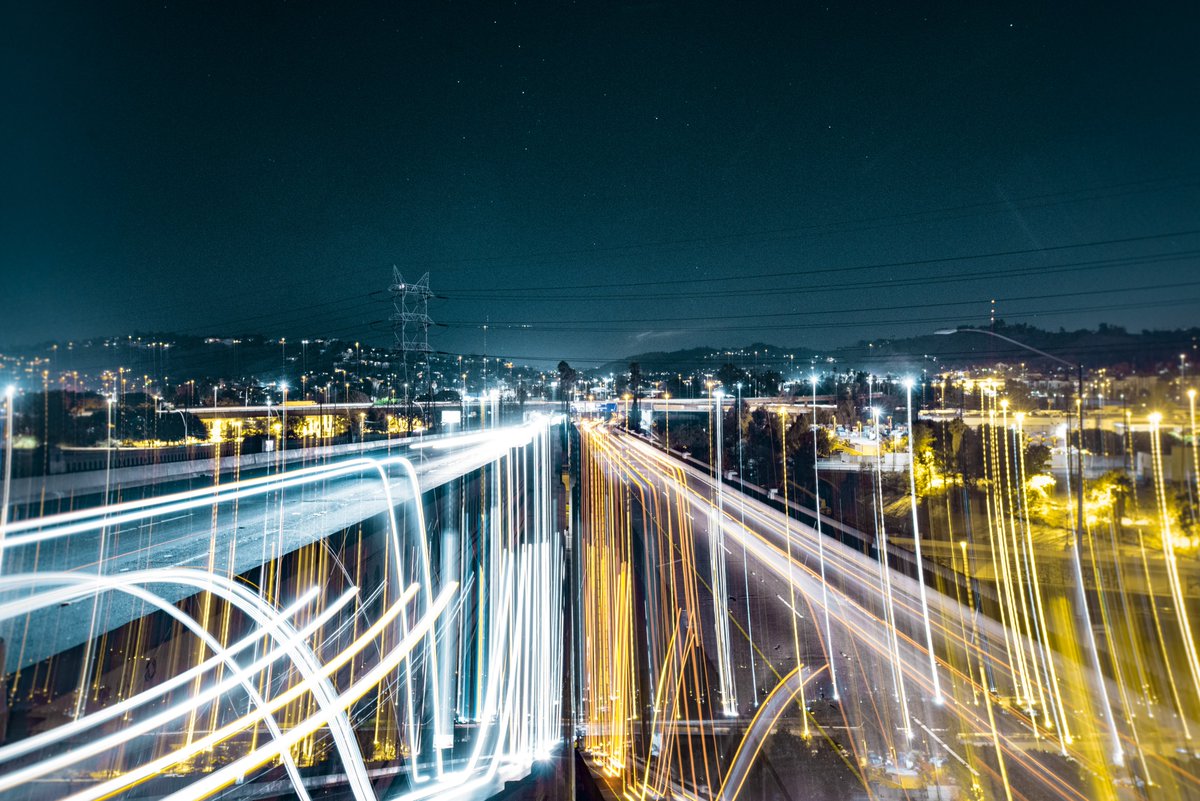 Thinking about Circuit Board Species today. 

Shot these photos 10 years ago almost to the day. No AI.