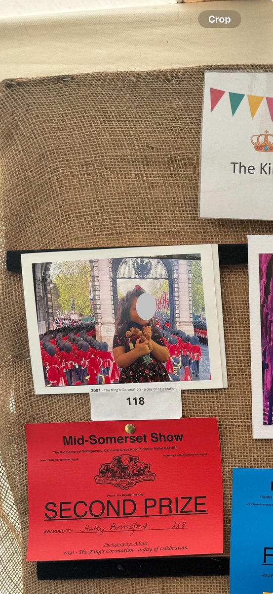 BooksCoveredHB's tweet image. I did get #second place for a photo of my youngest daughter in the #Kingscoronation #photo #class @MidSomersetShow #photographychallenge #photograph #Competition @JamesBrinsford