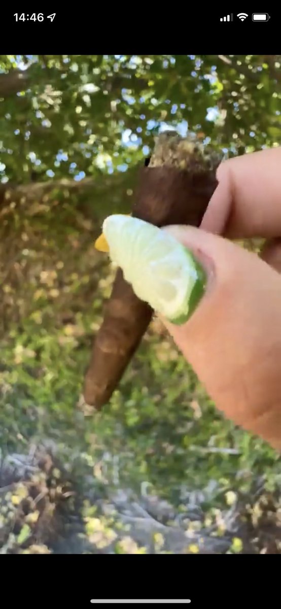 Says Fuck it tweet media