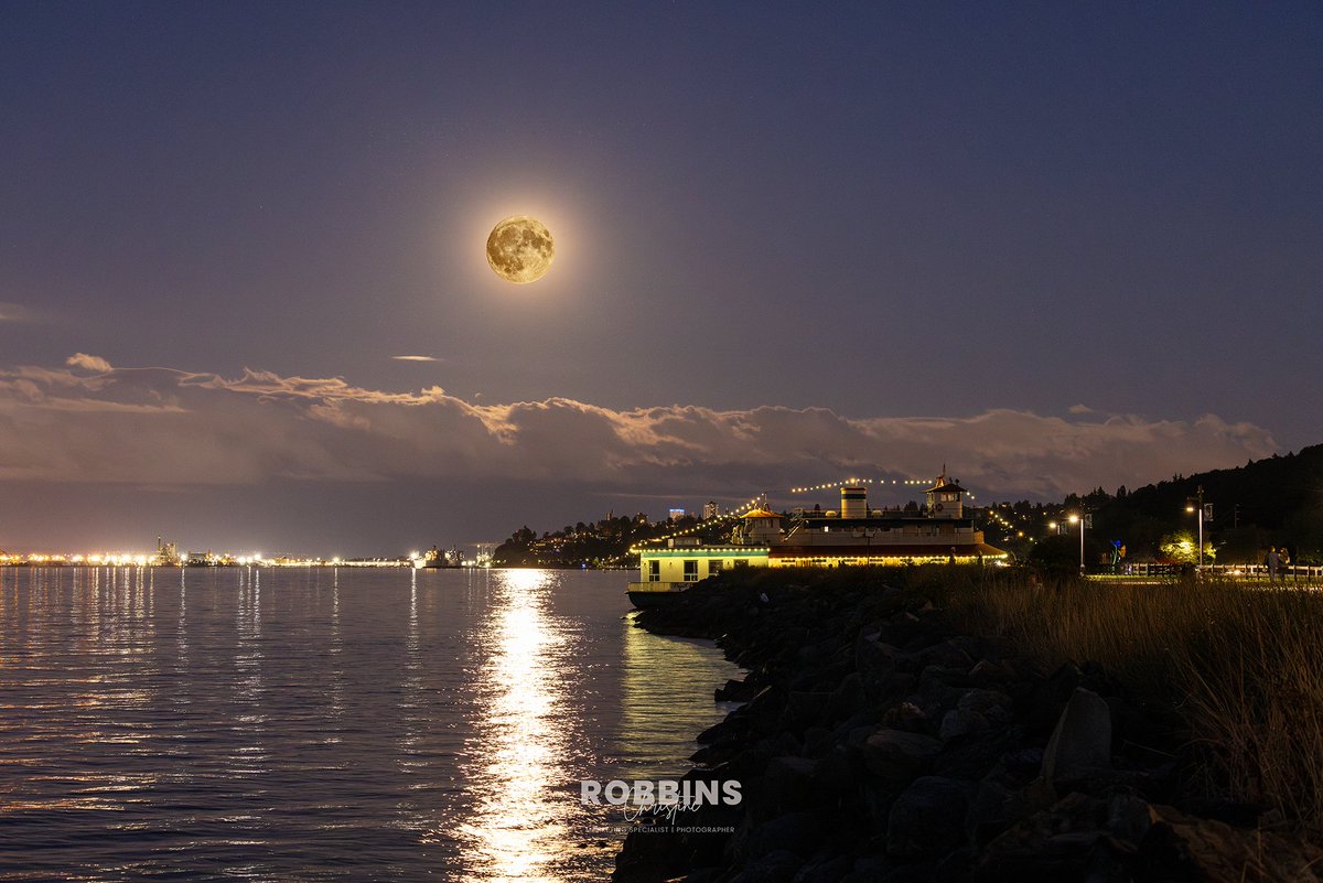 ForksFlash's tweet image. August’s Super Blue Moon 🌕
#BlueMoon2024 #BlueSuperMoon #tacomawa
📸 Canon EOS R5
Lens: Sigma 150-600mm f/5-6.3
