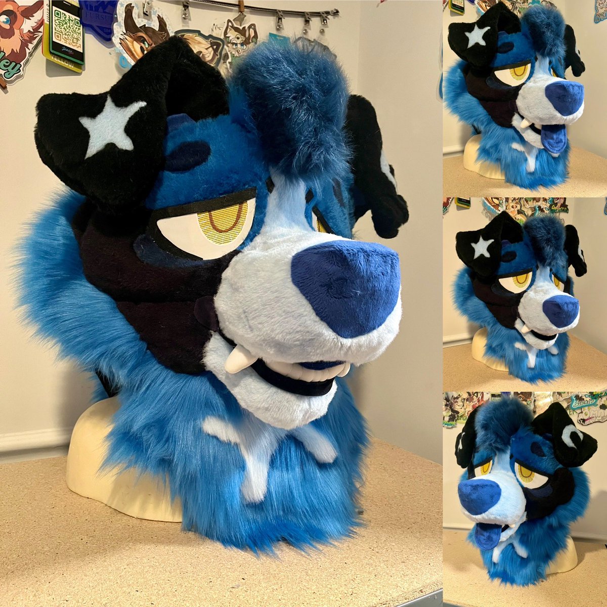 GATORSPOTS tweet media