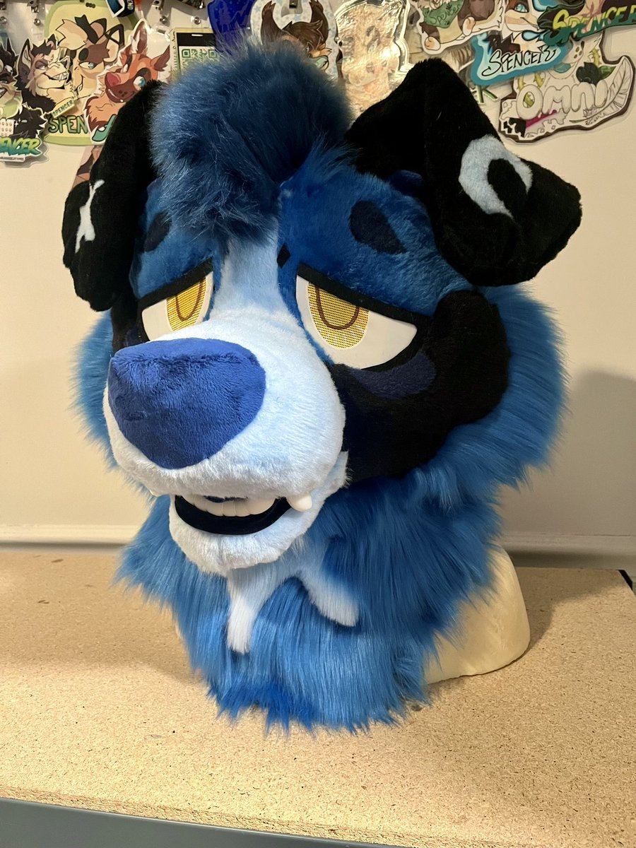 GATORSPOTS tweet media