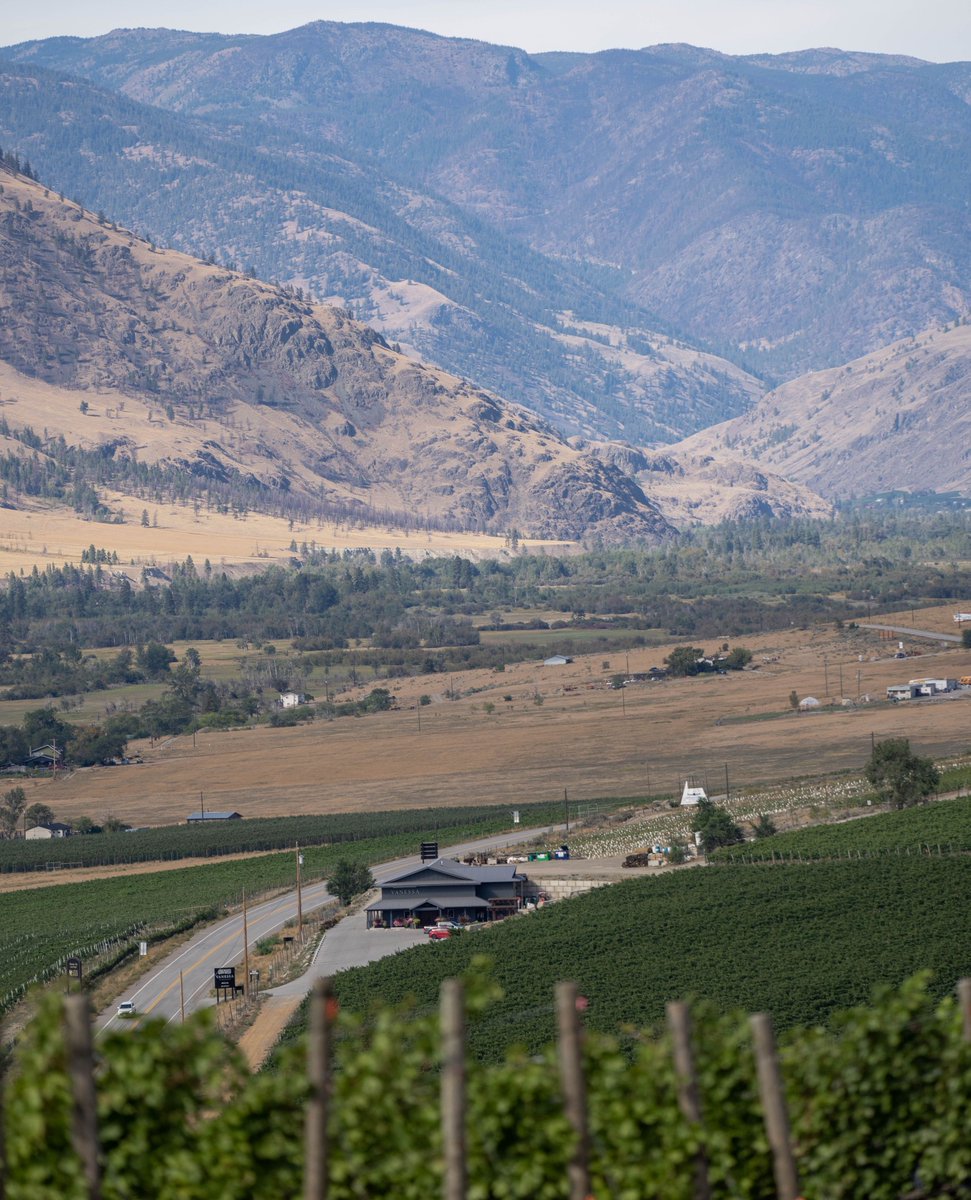 Whisk away on a journey to the sun-kissed vineyards of the Similkameen Valley, where history and passion intertwine in every glass of wine 🍷

Shop on our website: vanessavineyard.com/shop/