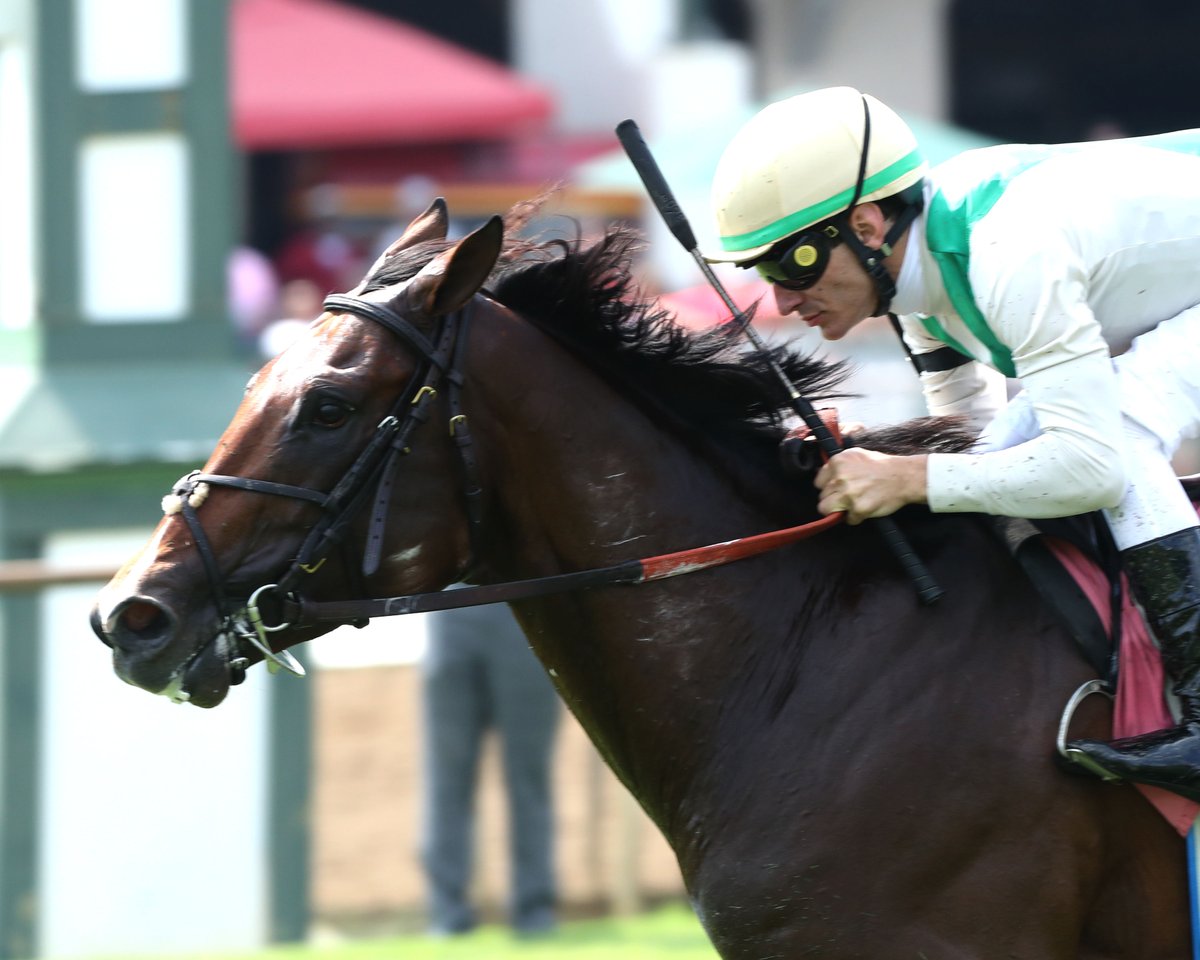 Kentucky Downs (@kydownsracing) on Twitter photo Our initial invitees to our $3.1 million Nashville Derby on Aug. 31 feature horses from all over including CARSON'S RUN, CUGINO, WHITE PALOMINO, ASPENITE & more! Where grass really is greener!📸 <a href="/coglianesephoto/">Coglianese Photos</a> #CoadyMedia <a href="/clementstable/">Clement Racing Stable</a> <a href="/westpointtbred/">West Point Tbred</a>
themintkentuckydowns.com/blog/news/firs… Our initial invitees to our $3.1 million Nashville Derby on Aug. 31 feature horses from all over including CARSON'S RUN, CUGINO, WHITE PALOMINO, ASPENITE & more! Where grass really is greener!📸 <a href="/coglianesephoto/">Coglianese Photos</a> #CoadyMedia <a href="/clementstable/">Clement Racing Stable</a> <a href="/westpointtbred/">West Point Tbred</a>
themintkentuckydowns.com/blog/news/firs…