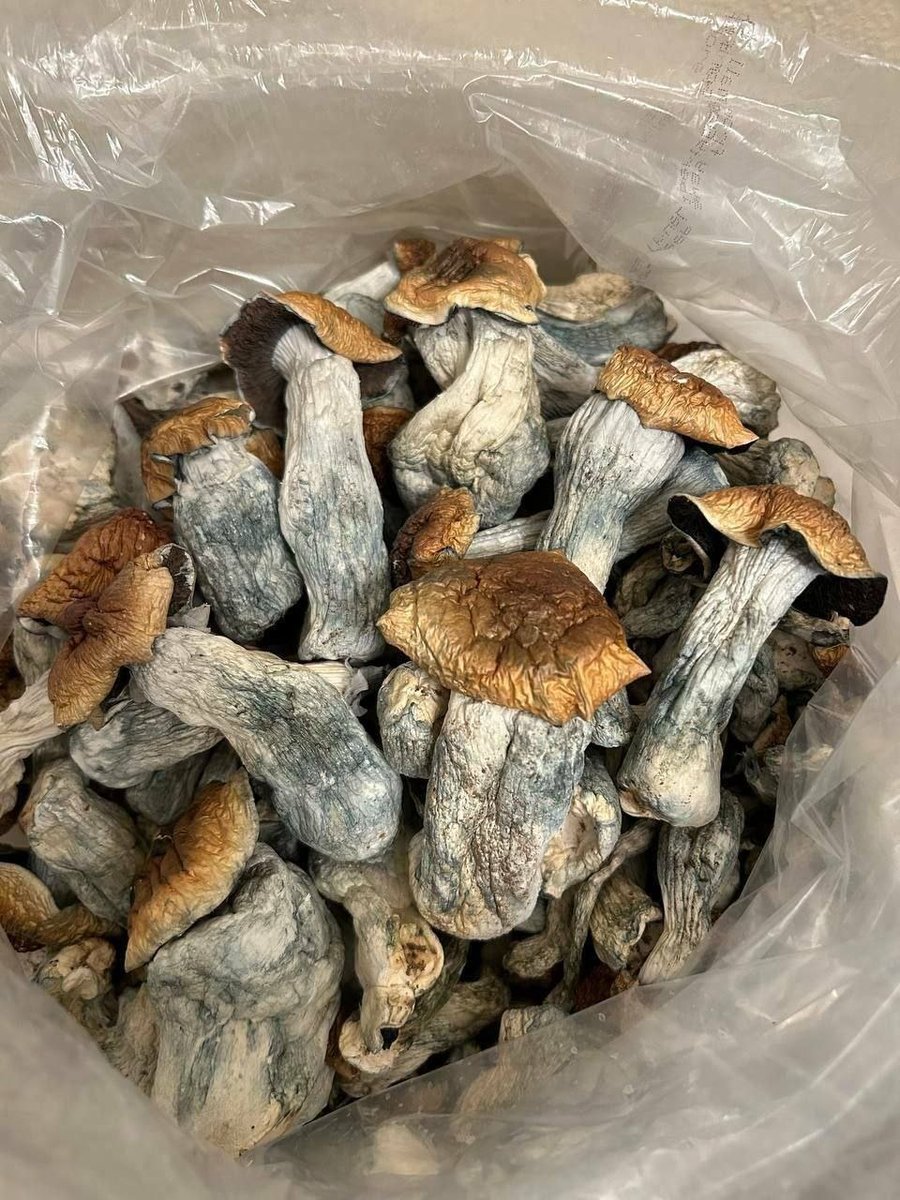 Strains available 
1)Golden Teacher 
2)Penis envy 
3)Albino 

Ounce =200 
half ounce =100