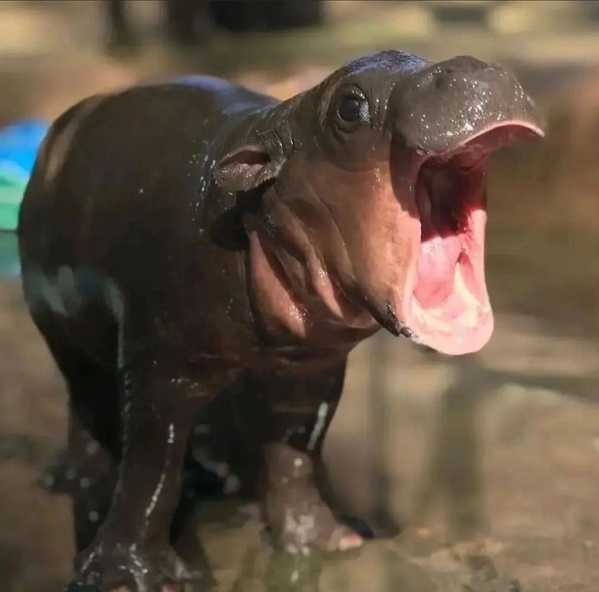 AHHHHHHHHHHHHHHHHHHHHHHHHHHHHHHHHHHHHHHHHHHHHHHHHHHHHHHHHHHHHHHHHHHHHHHHHHHHHHHHHHHHHHHHHHHHHHHHHHHHHHHHHHHHHHHHHHHHHHHHHHHHHHHHHHHHHHHHHHHHHHHHHHH