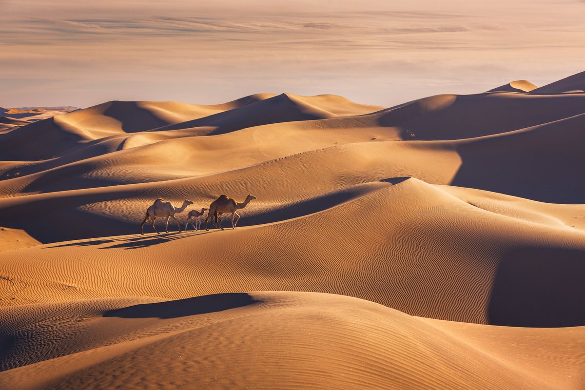 هذه أعمال من تصويري
 منها ماخططت لها لأيام لإلتقاطها
 ومنها كان التقاطها بآخر لحظة ( بدون تخطيط) 😄

 #اليوم_العالمي_للتصوير