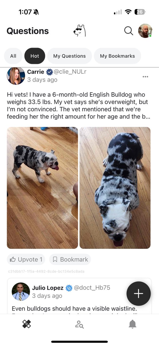 MyPet Health tweet media