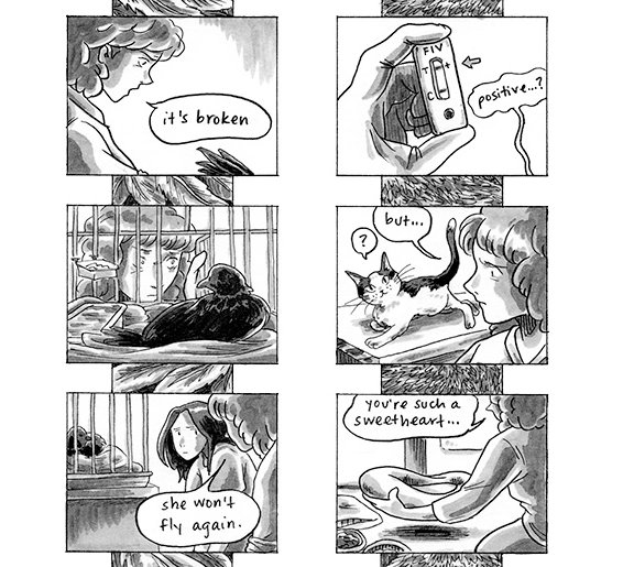 🍂 IT'S CON SEASON 🍂 See where I'll be this Fall with all my usual wares PLUS the ✨BRAND NEW✨ issue of THE CATALOGUE 🐈‍⬛ (the first since 2017)

SCHEDULE:
🍰 <a href="/CAKEchicago/">Chi Alt Comics Expo</a> - Chicago, IL - 8/24-8/25
🌟 <a href="/SPXcomics/">SMALL PRESS EXPO</a> - Bethesda, MD - 9/14-9/15
📚 <a href="/NFComicsFest/">Non-Fiction Comics Fest</a> - Burlington, VT -11/16