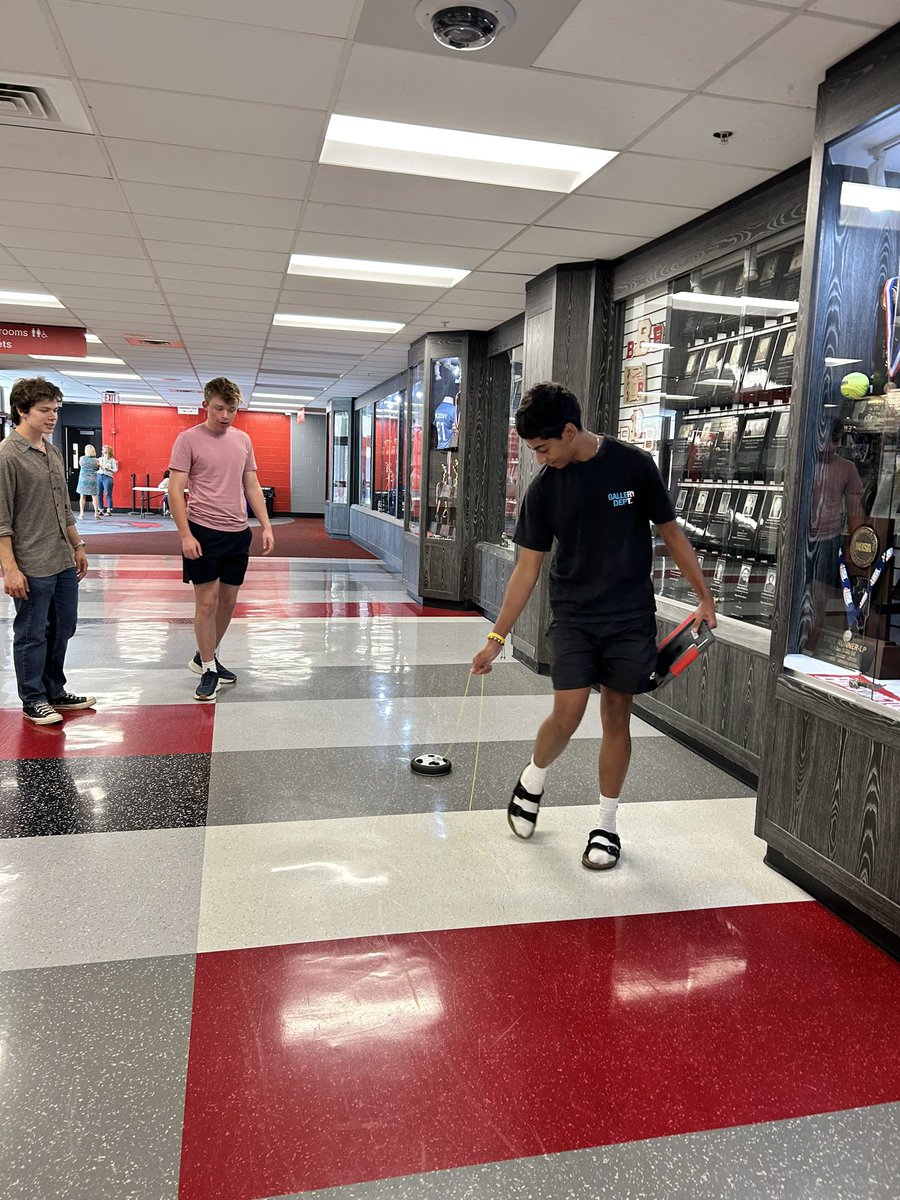 Shannon Feineis tweet media