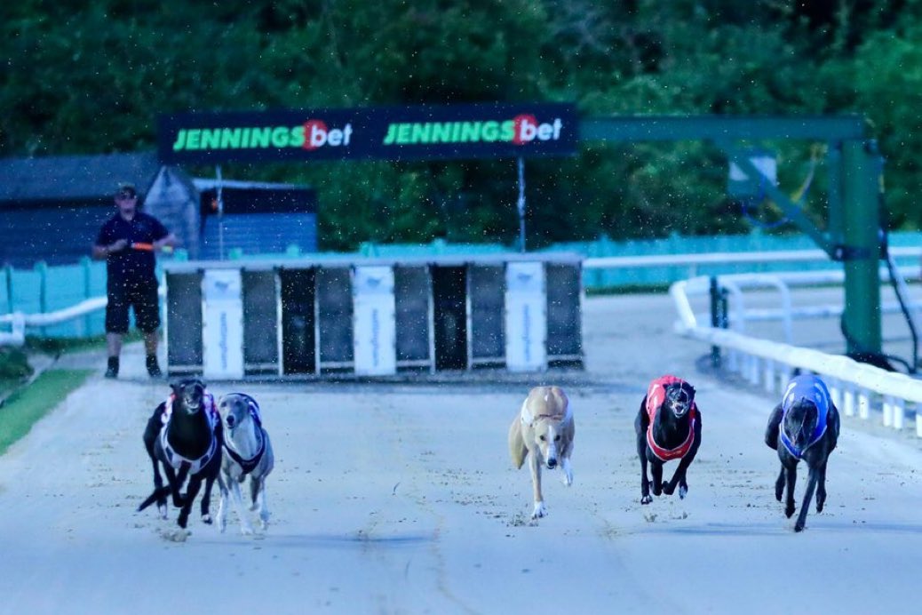 Ballymac Eske 29.21sec
⬇️⬇️⬇️
Sawpit Sensation 29.16sec
⬇️⬇️⬇️
Skywalker Logan 29.05sec
⬇️⬇️⬇️

🔥 March On Freddie 29.00sec 🔥 

A new name on the racecard at Nottingham, Dave Mullins-trained superstar pup sets new figures for 500m tonight 💥