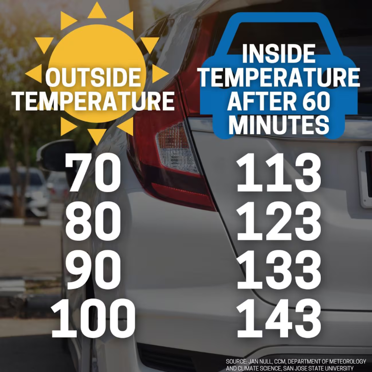 Adams_MobileAir's tweet photo. TODAY'S #TexasHeat REMINDER:
When the outside temperature is 100*F+, your vehicle's inside temperature doesn't take long to become deadly. Stay safe out there, my friends, drivers, operators, and passengers.
Please read:
https://t.co/Agiiszh5f6...
#adamsmobileair #summerintexas https://t.co/FH1aM8X8mS