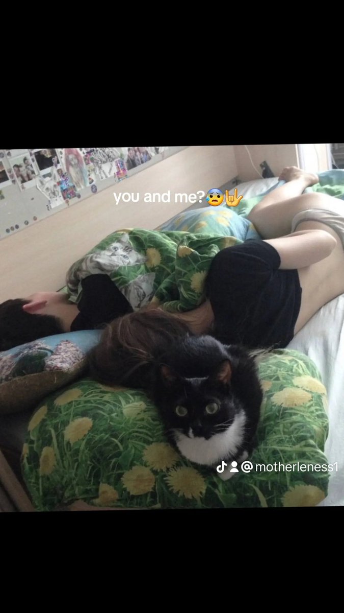 motherleness (@felixversion79) on Twitter photo 