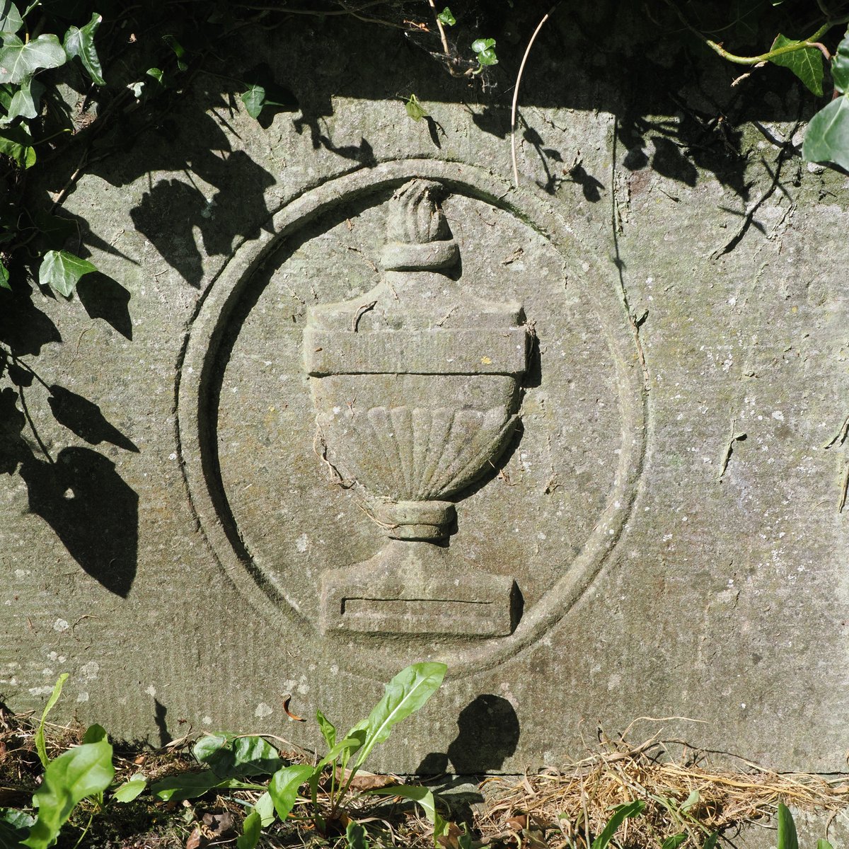 stecallaghan01's tweet photo. Lovely Neo-classical urn on the side of box tomb in St Mary's #graveyard #Shinrone #Offaly https://t.co/wgC5ciKSRi