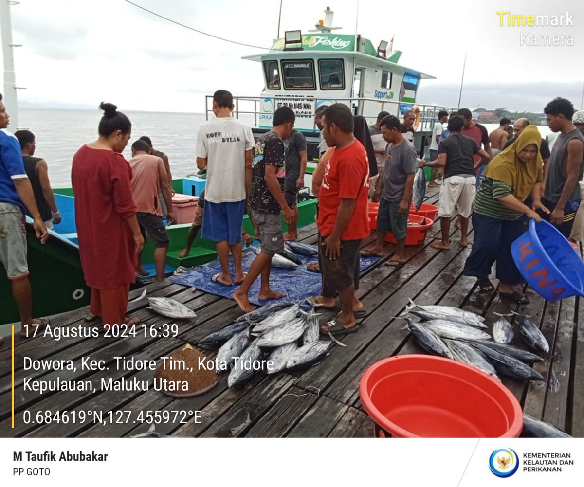 burtidore1's tweet photo. Sabtu (17/08/2024),Burhan Samad, Luhkan Kota Tidore, melaporkan  Hasil Tangkap KUB. Sonyinga Kel. Tomalou  Kec. Tidore Selatan, Cakalang 1.014 kg/ Rp. 16.000 dan Tongkol 507 kg/ Rp. 10.000
#GiatLuhkanSatminkalAmbon
@BP3_Ambon https://t.co/84SJ8yJ9ug