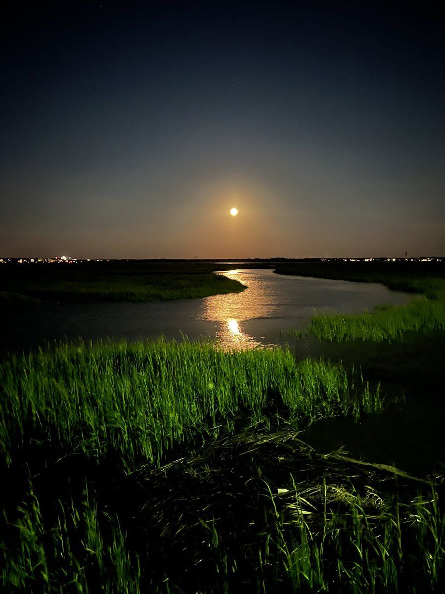 Seton Tucker tweet media