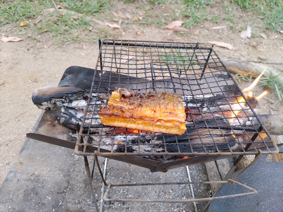 ha_mi6955's tweet photo. 焼焼売
鰻の蒲焼き
今回初のアルコールストーブ
がーやんの手拭い
宍道ふるさと森林公園 https://t.co/ohF5I2hSUW