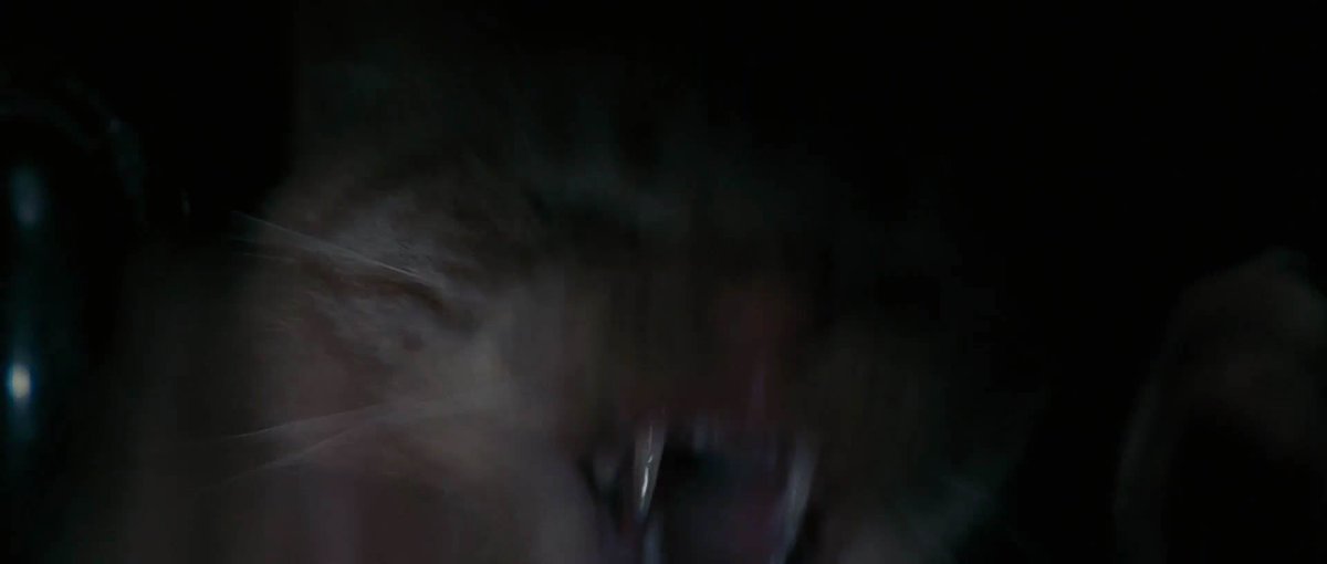 lulasfortune's tweet photo. @OnePerfectShot ALIEN (1979 https://t.co/1yPymvcOeo