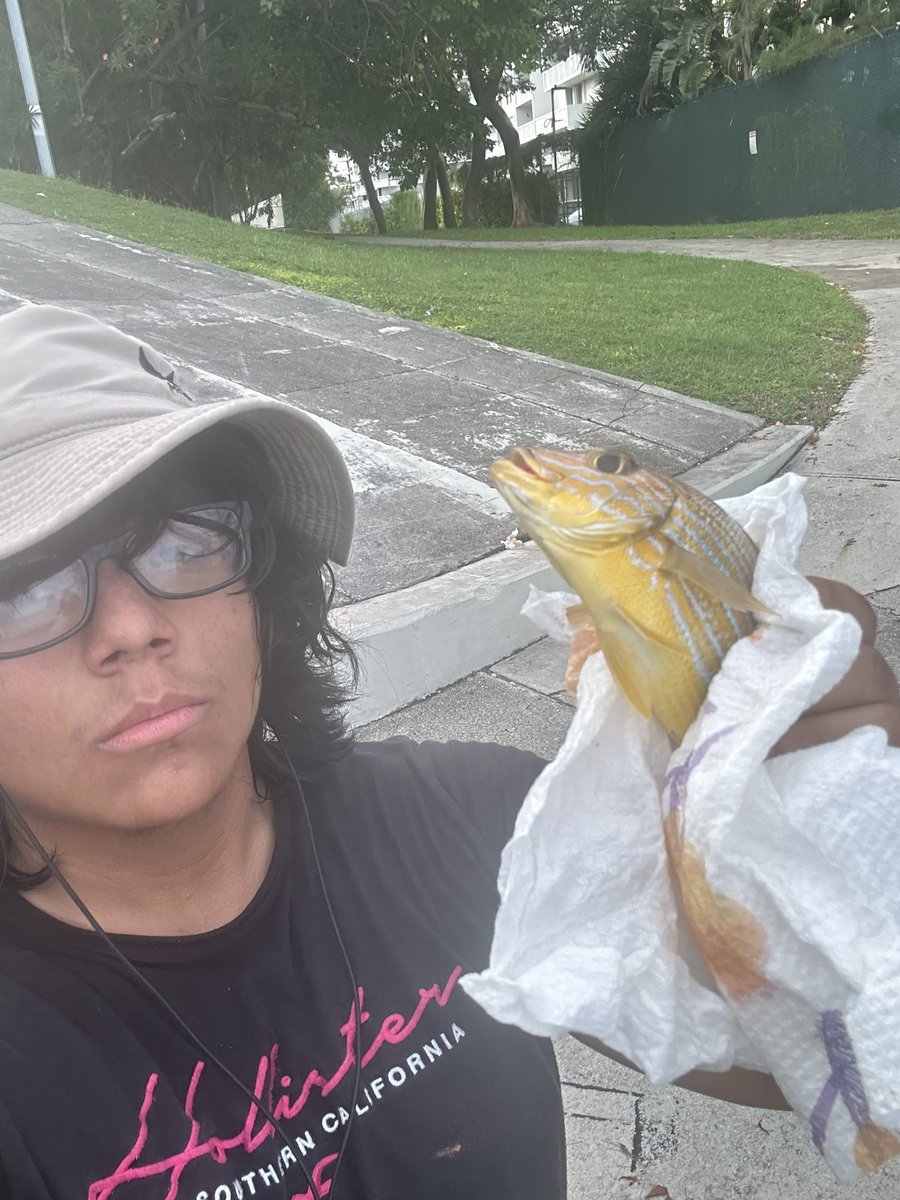 brandonl1l's tweet photo. caught 4 pufferfish, 5 grunts, and 1 other fish idk the name of
#ProFisher
@lqoows got nothing on meπ―π― https://t.co/ZuKi7uKDmT