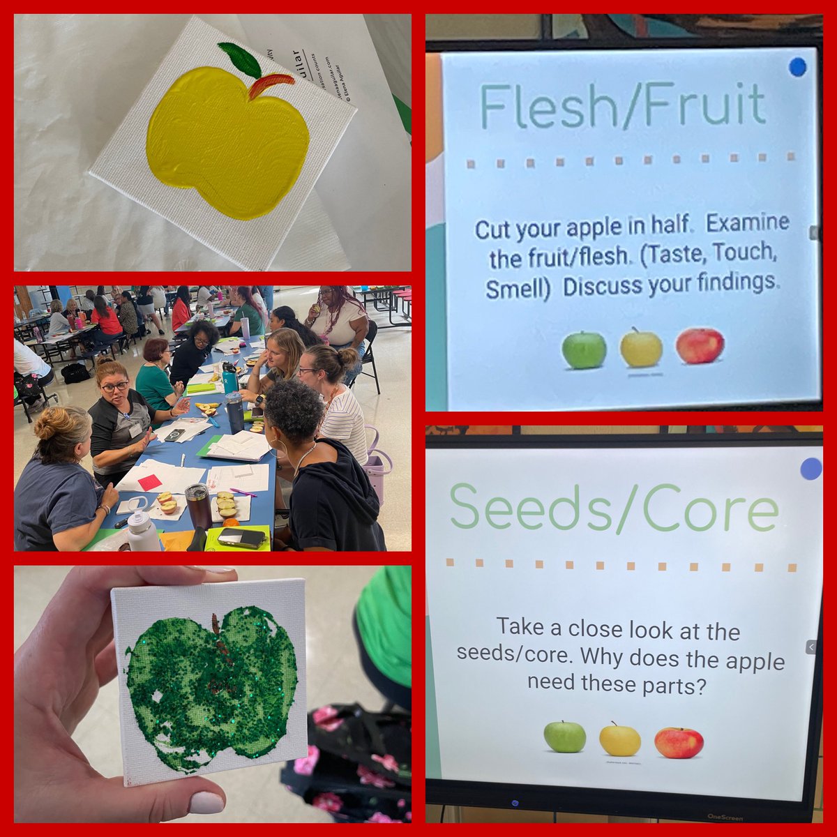 Shelby Small tweet media