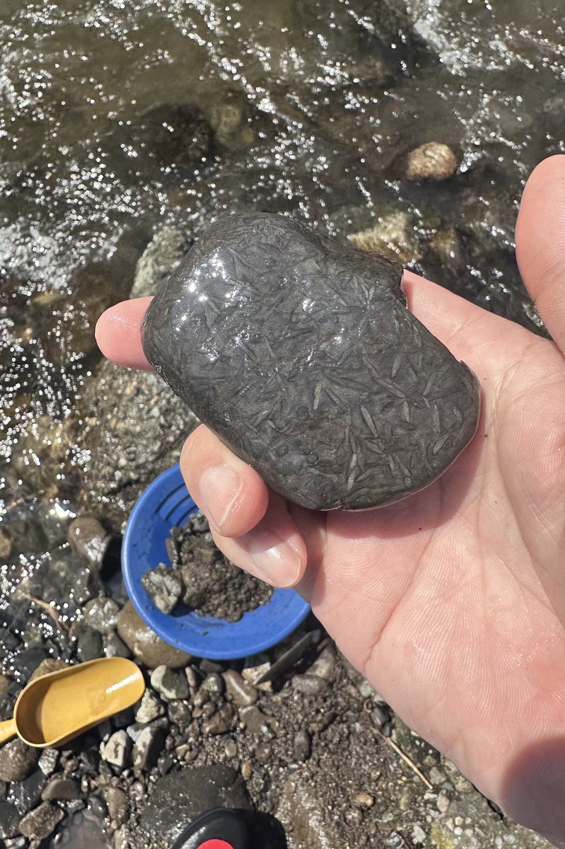 色んな意見があるけど『竹葉石』が正解？竹の葉のような結晶は蛇紋岩