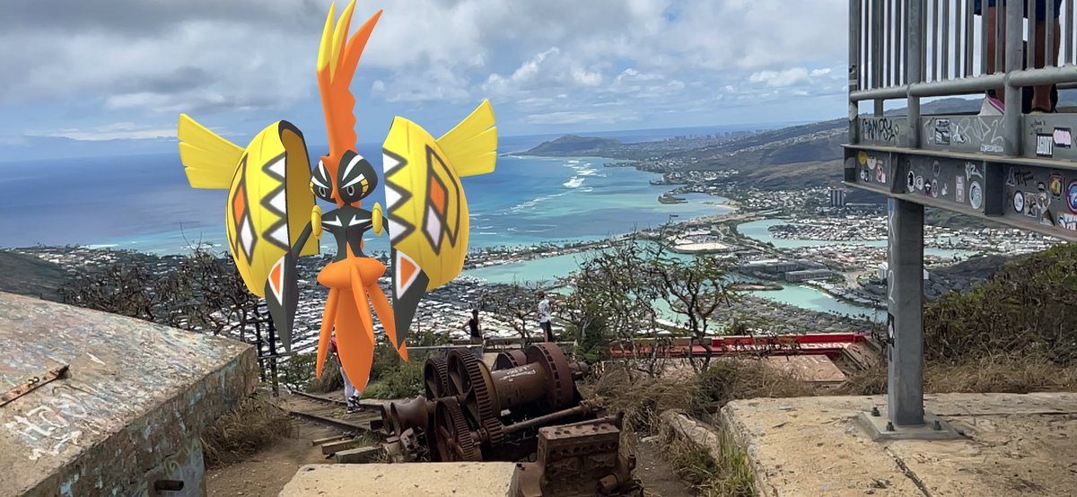 Climbed up Kokohead Lookout today, found a certain someone at the top!