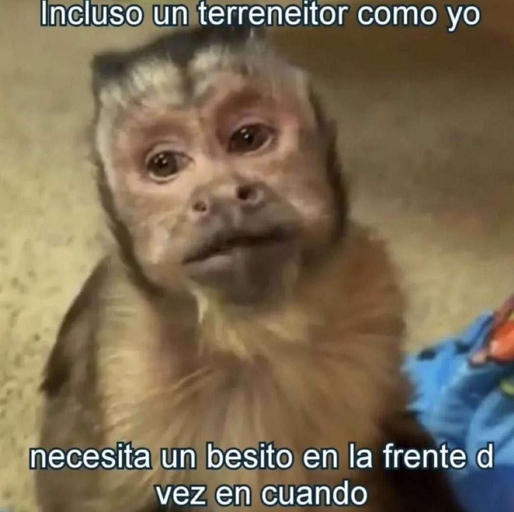 Incluso 🥺