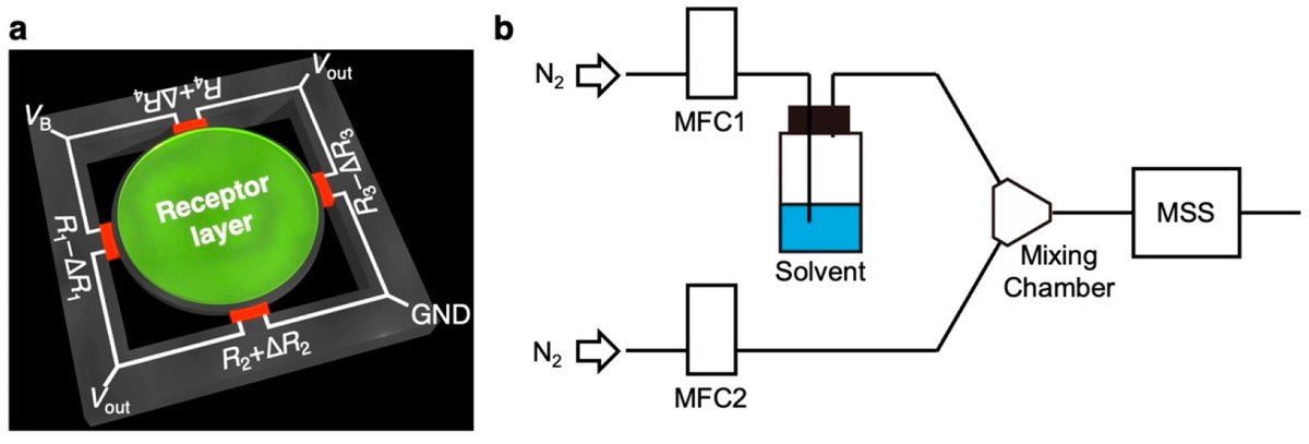 Biosensors_MDPI's tweet image. #Article
Measurement of Volatile Fatty Acids in Silage through Odors with Nanomechanical Sensors
by Kosuke Minami, Masanori Tohno, Ryoh Nakakubo and Genki Yoshikawa
mdpi.com/2079-6374/13/2…
 
#electronic #Odors #Acids #biosensors