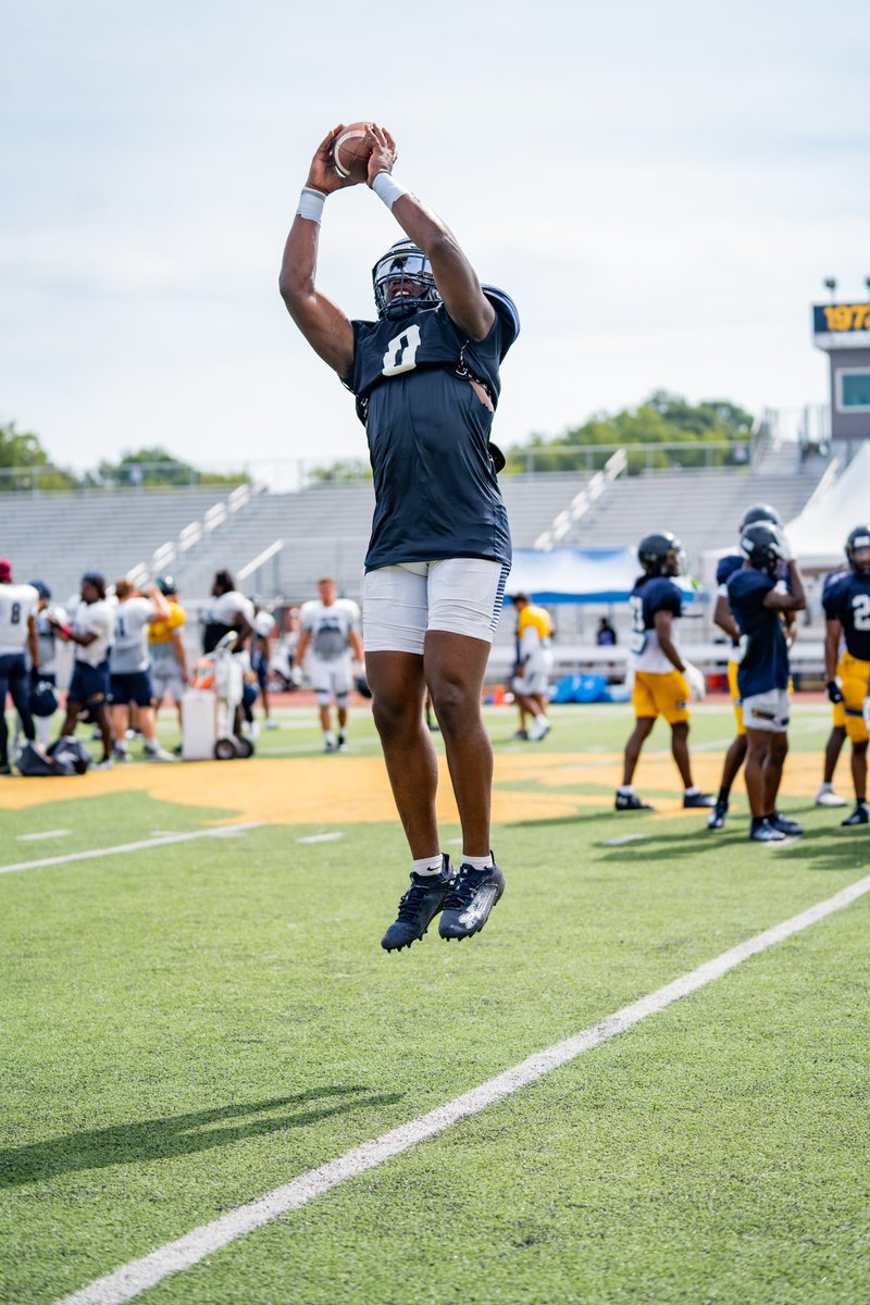 Lions_FB tweet picture