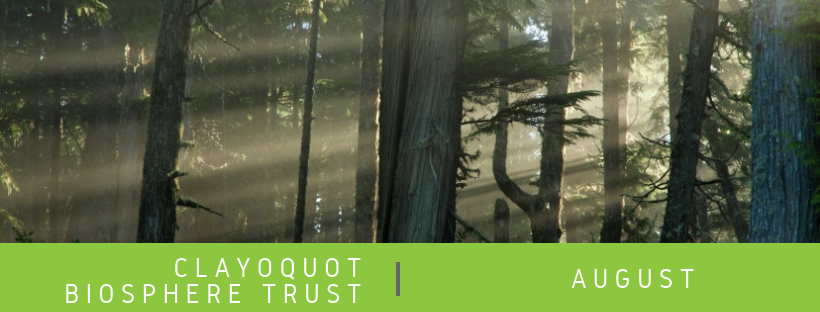 ☀️🌲Check out our August newsletter! Announcing some of the 2024 grant projects, reflecting on our summer staff celebration, sharing an exciting step for the Biosphere Centre and much more!

🔗 mailchi.mp/fd90dac6571b/c…