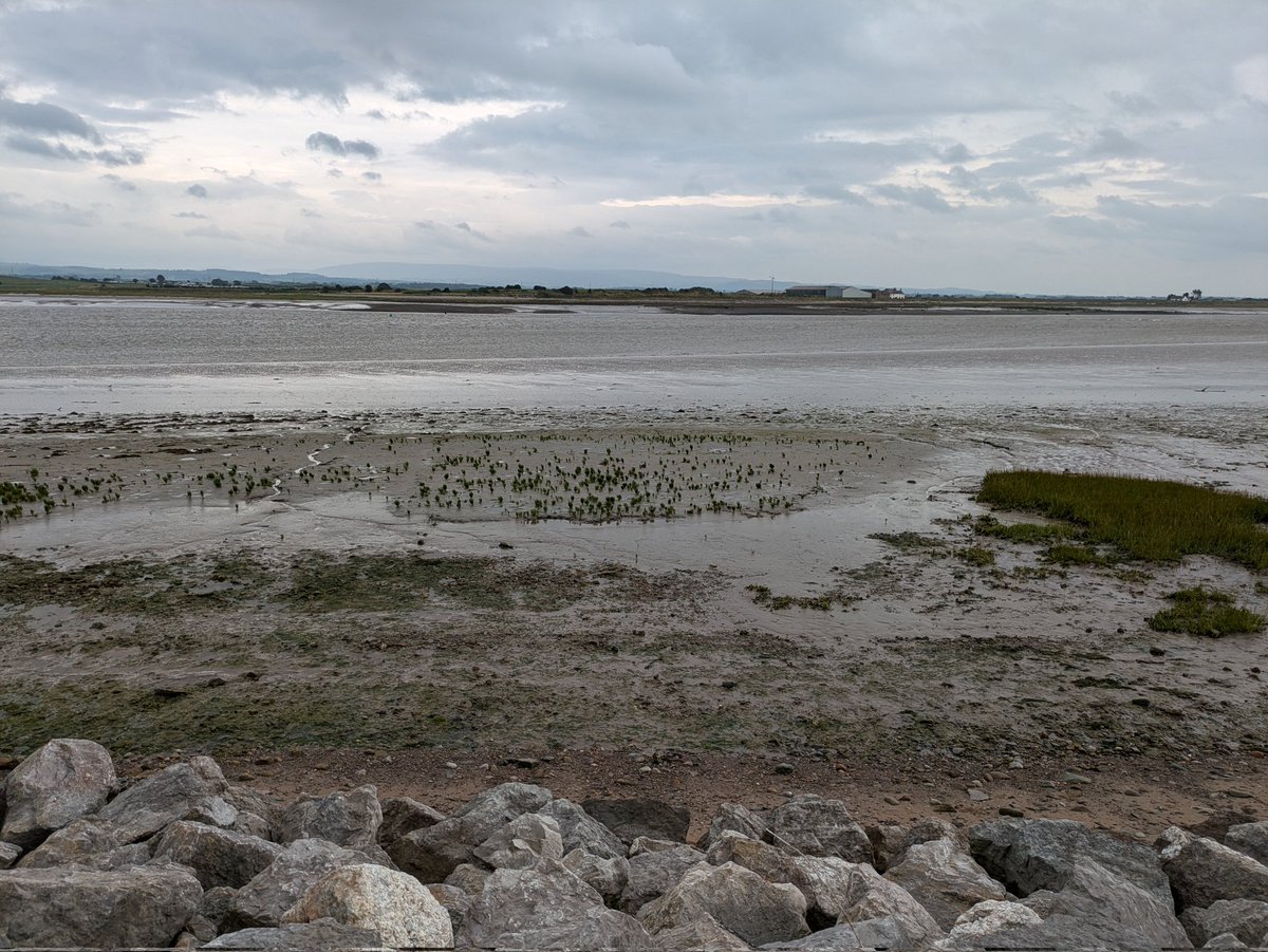 Graham Brown tweet media