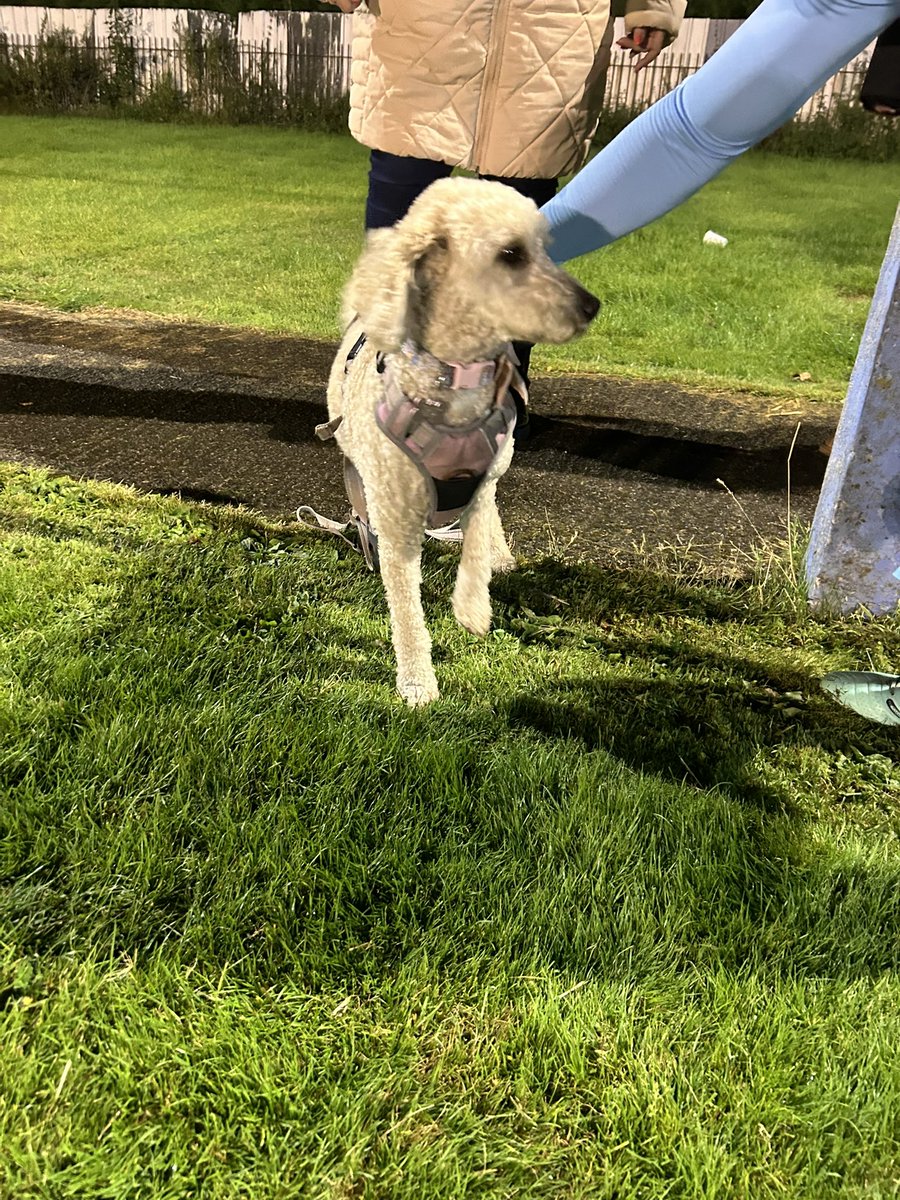 🐶 A big night for Nahla who enjoyed the game but naturally put fuss before posing for a photo. 🔵⚪️