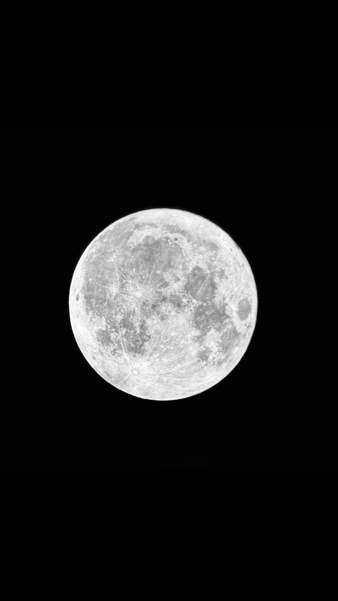 hayo__7's tweet photo. وأرَاك في كُلِّ البِقاعِ كأنما
لا جُرمَ في فلَكِي يَدورُ سِواك 🌑🔭🩵

 #قمر_الليله https://t.co/45AWon4qC0