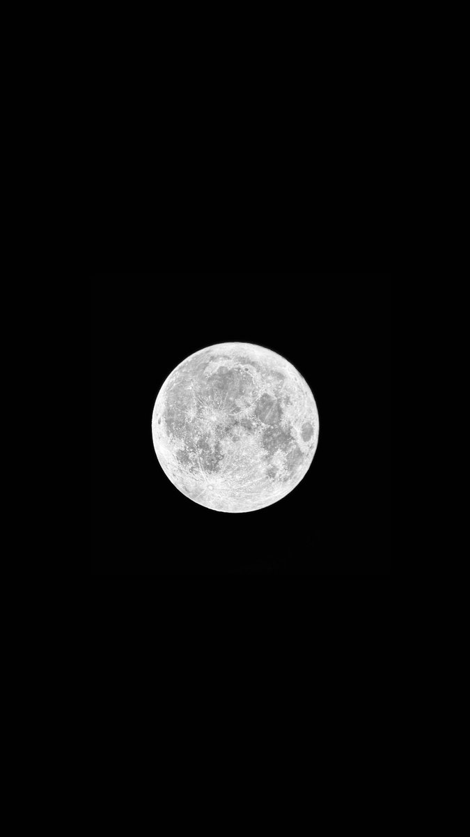 hayo__7's tweet photo. وأرَاك في كُلِّ البِقاعِ كأنما
لا جُرمَ في فلَكِي يَدورُ سِواك 🌑🔭🩵

 #قمر_الليله https://t.co/45AWon4qC0