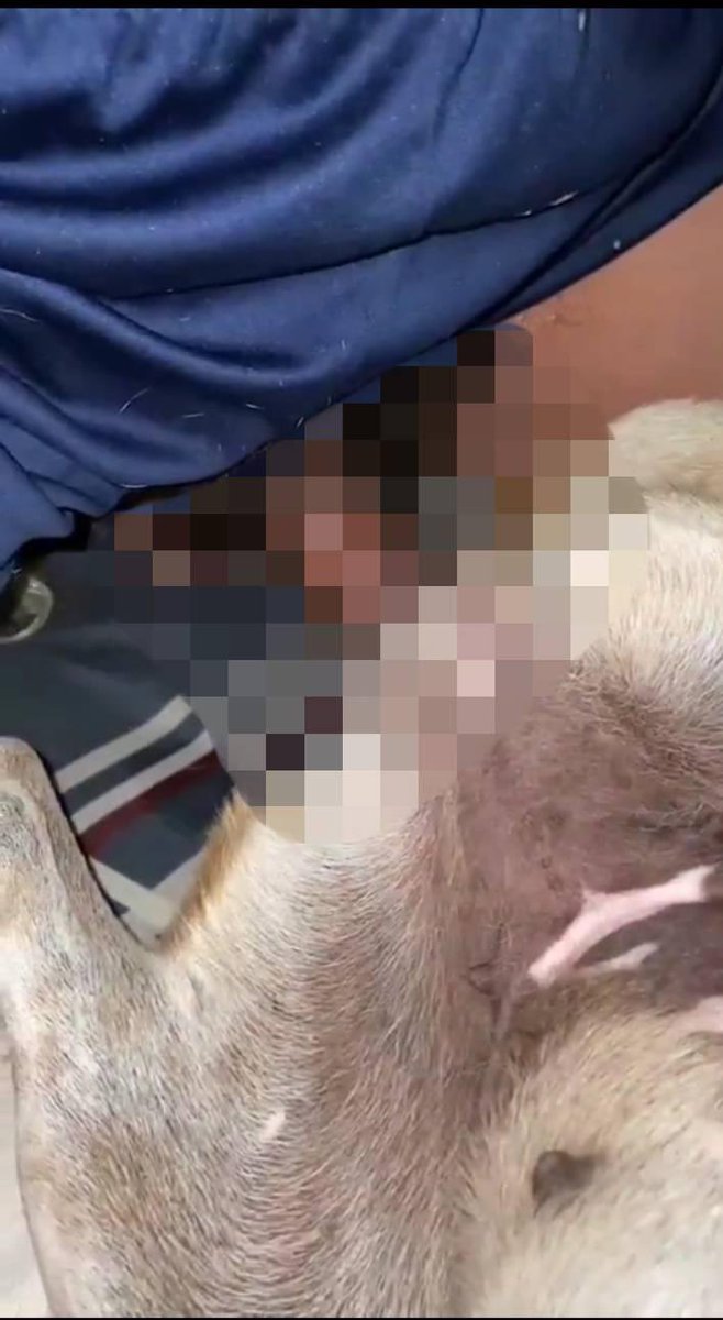 หีตอดควยดีวะ💦