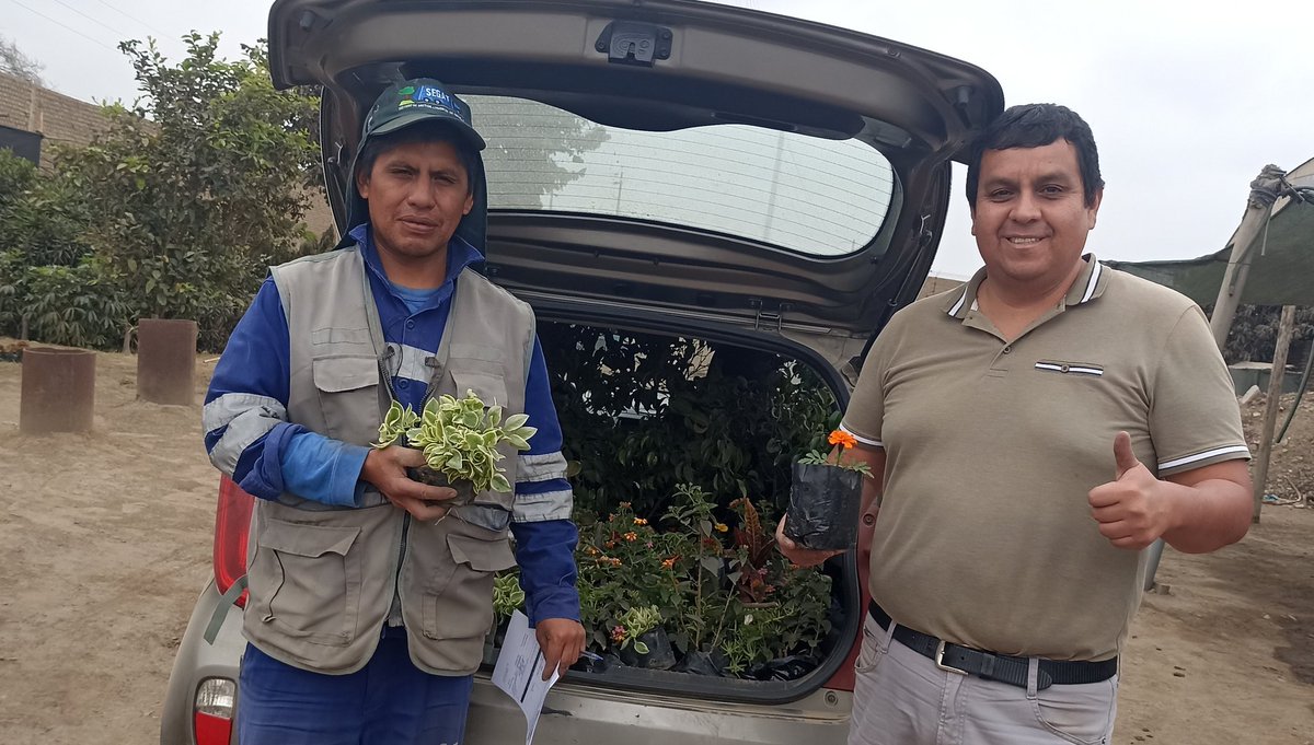 osfe's tweet photo. ARBORIZACIÓN TRUJILLO
Gracias Servicio De Gestión Ambiental de Trujillo (SEGAT) por el apoyo a nuestra solicitud de donativo de árboles y plantas para el sembrado en Instituciones Educativas y Áreas Verdes que venimos recuperando en coordinación con los vecinos organizados. https://t.co/JrRIHGVxPG