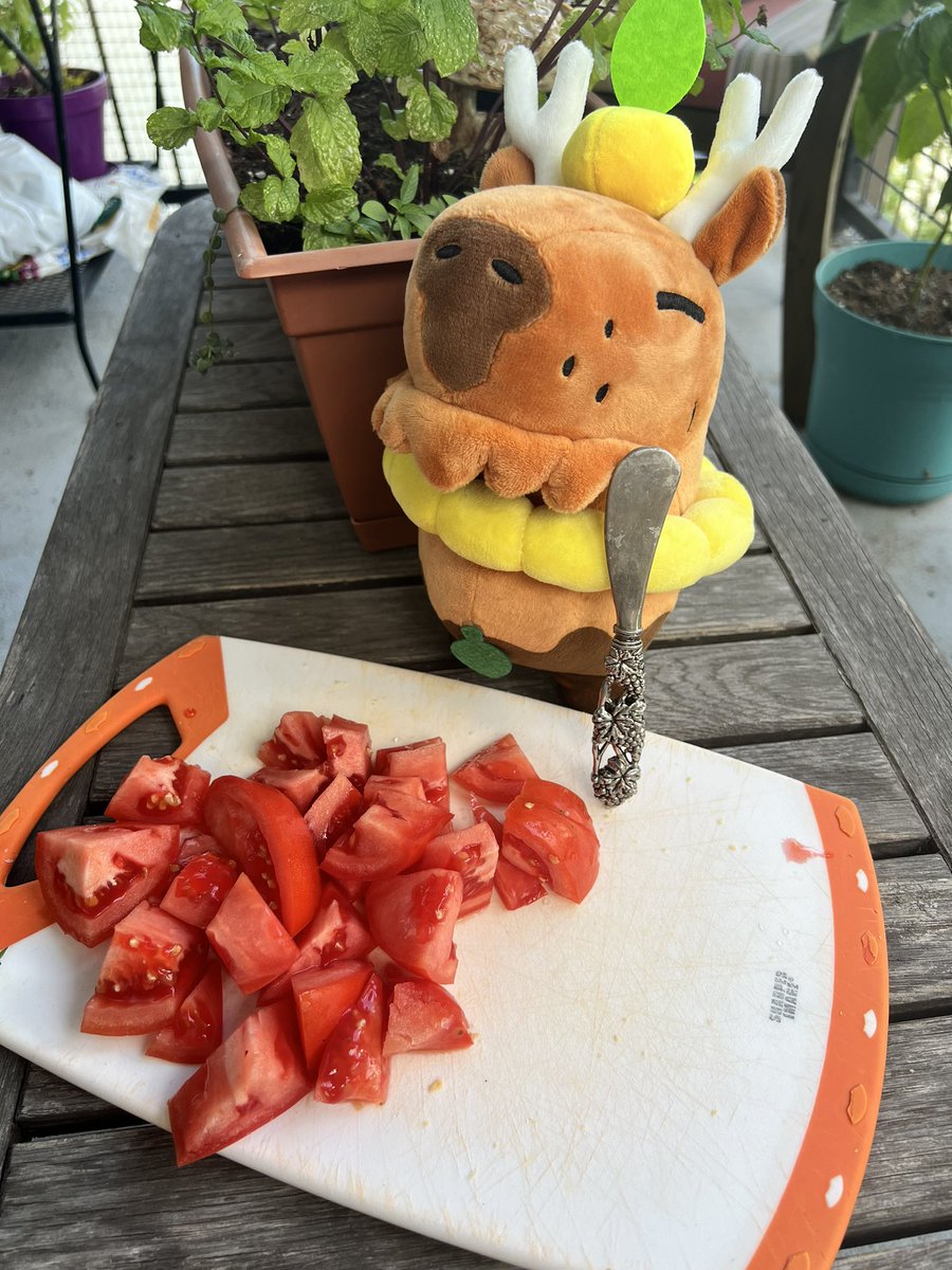 Capy knows you’ve had a long day. So they’re making dinner for you-very mindful. Very demure. ❤️🍅