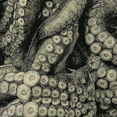 ᅠִֶָ𓂃 ࣪˖ ִֶָᅠִֶᅠ𝐒ᴇʟᴇɴᴇ 𝐔ᴍʙʀɪ́ᴀᅠ་༘࿐ (@pesadlllas) on Twitter photo 