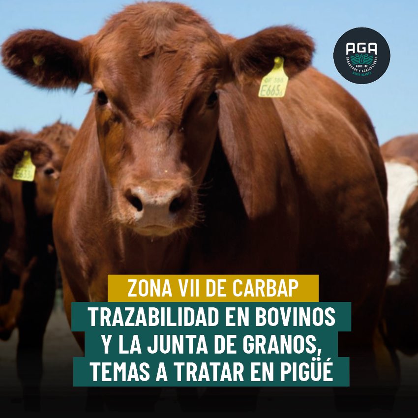 Zona VII de Carbap: trazabilidad en bovinos y la junta de granos, temas a tratar en Pigüé