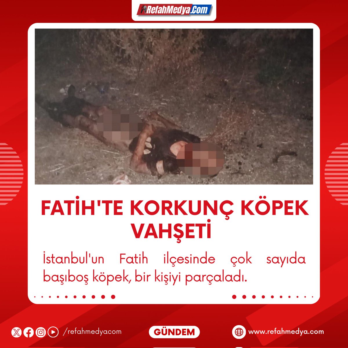 refahmedyacom's tweet image. FATİH&apos;TE KORKUNÇ KÖPEK VAHŞETİ 

İstanbul&apos;un Fatih ilçesinde çok sayıda başıboş köpek, bir kişiyi Ağır yaralanan şahıs hastanede tüm müdahalelere rağmen kurtarılamadı.

#fatih #başıboşköpek #sokakköpekleri #SONDAKİA #refahmedya