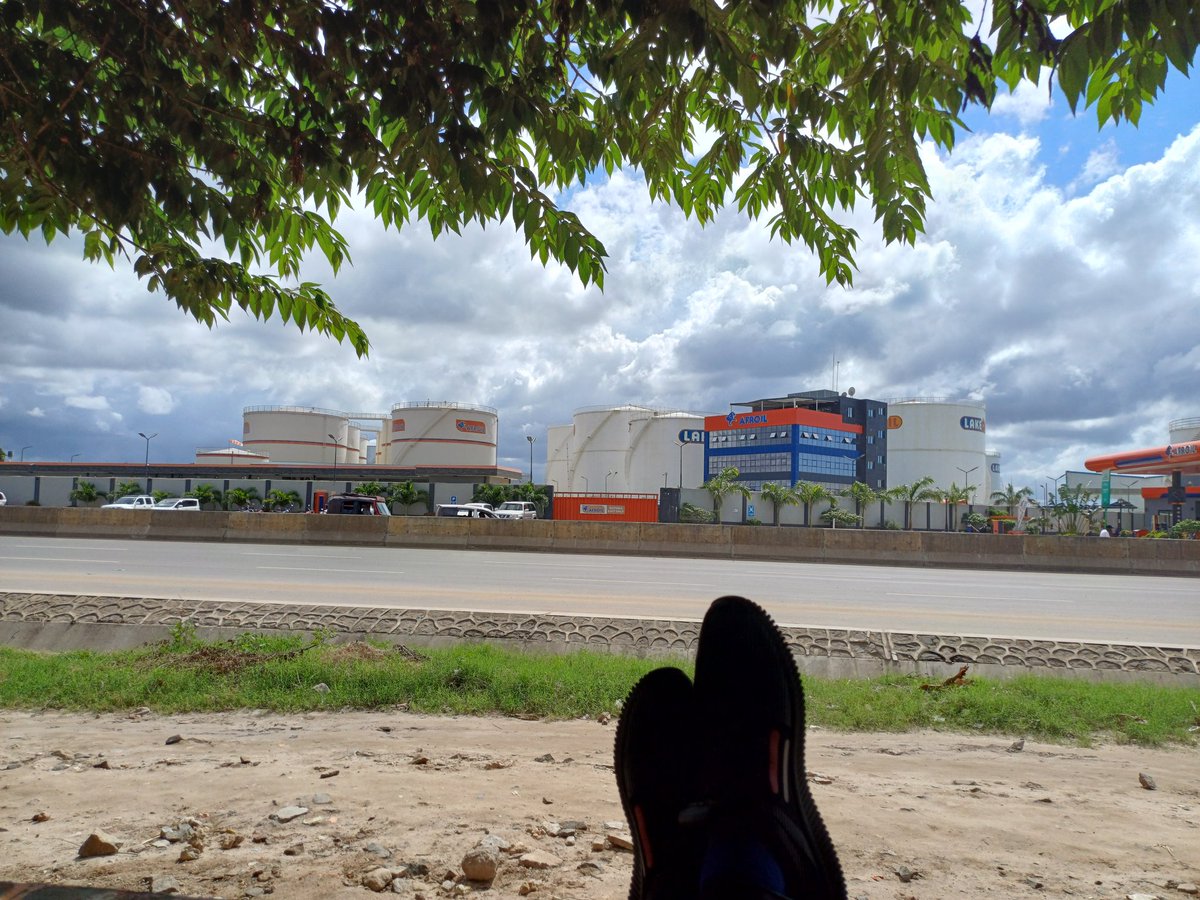 cloudsurf02's tweet image. Your friendly neighbourhood lookout 👀