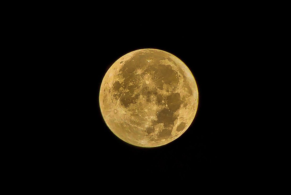 splendidesoleil's tweet image. 100%