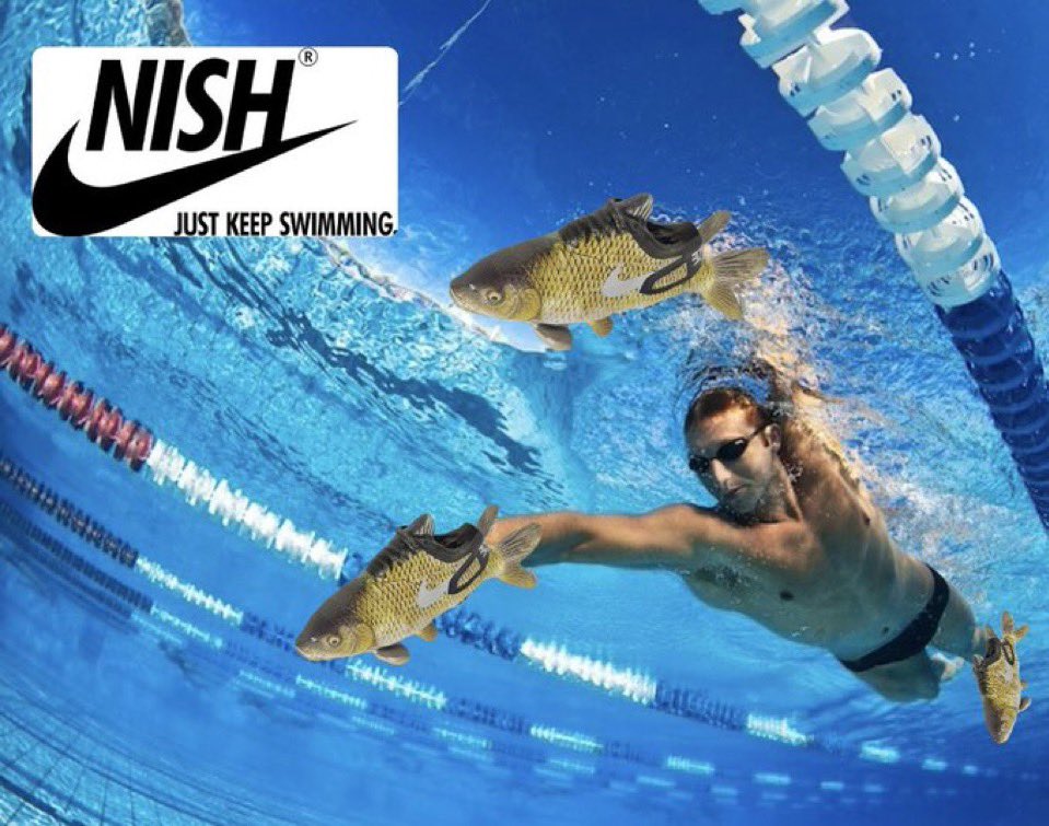 exclusivewinner's tweet photo. @Regrets10x JUST KEEP FUCKING SWIMMING $NISH https://t.co/7KqaTp0mUl